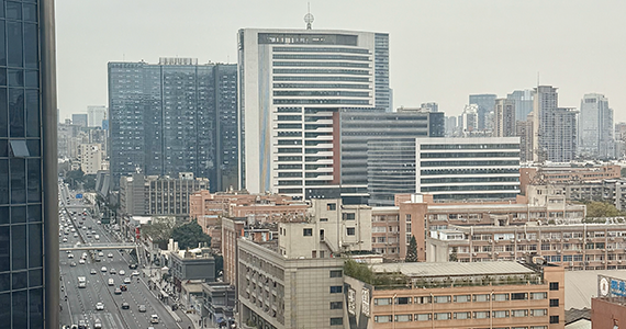 云南子域名查询工具