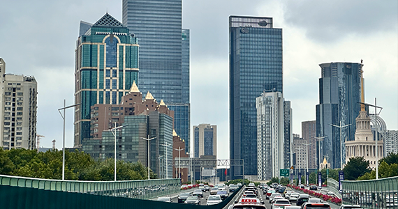 kkss.788域名查询